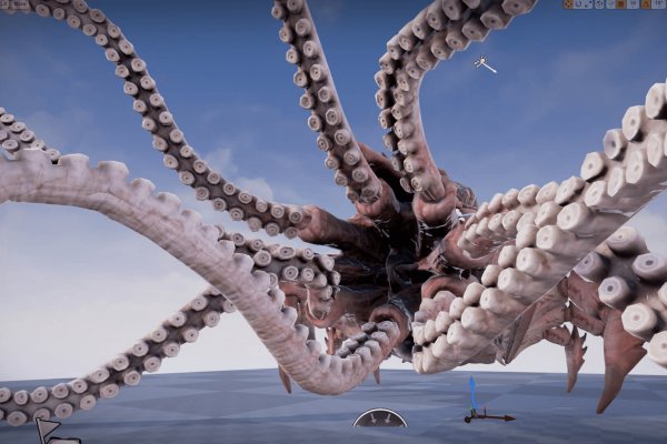 Kraken 17 at net