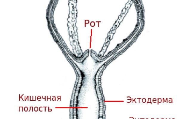 Vk14 at кракен