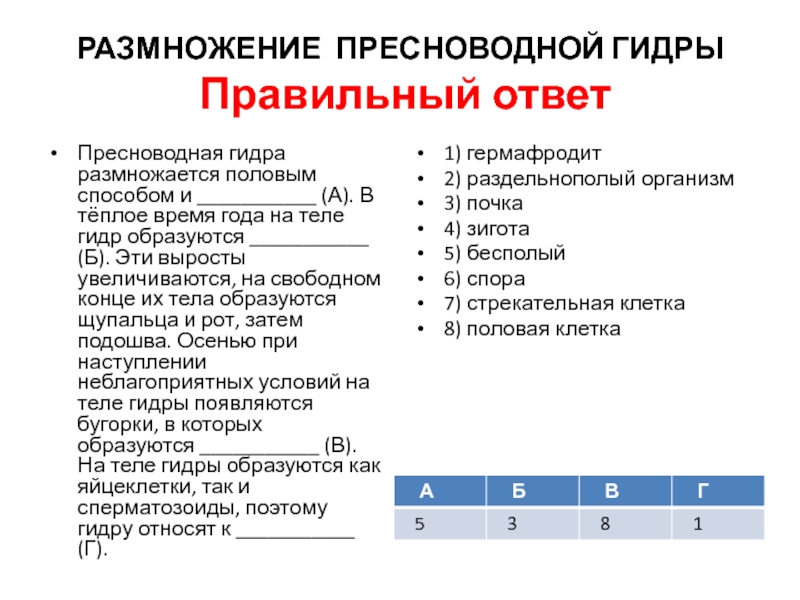 Как зайти на кракен через тор